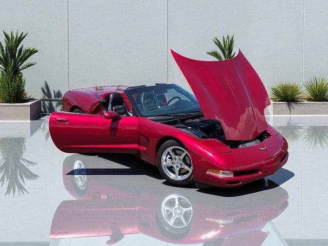 2004 Chevrolet Corvette Base - Photo 11
